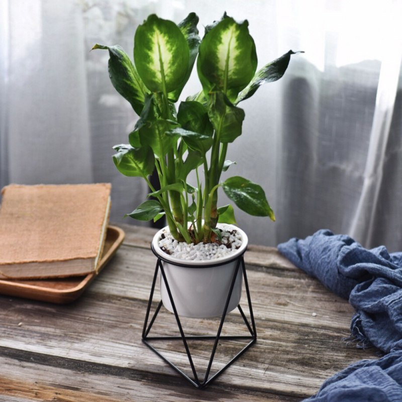 flower pots new Nordic Minimalist Geometry Gold Iron Ceramic Succulent Pot Vanilla Green Plant Desktop Flower Pot for Home Decor