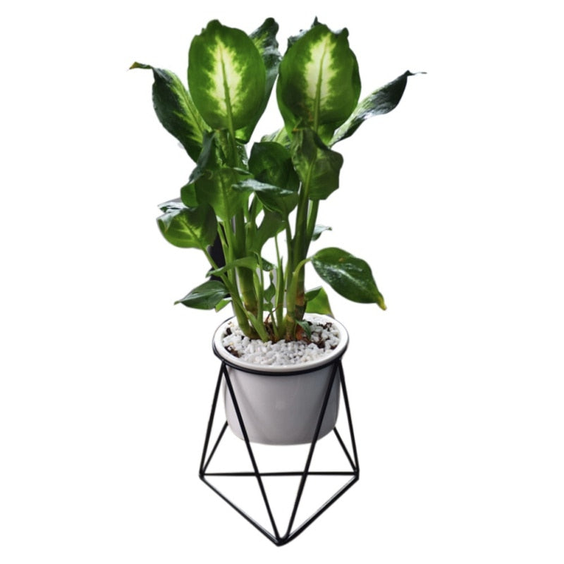 flower pots new Nordic Minimalist Geometry Gold Iron Ceramic Succulent Pot Vanilla Green Plant Desktop Flower Pot for Home Decor