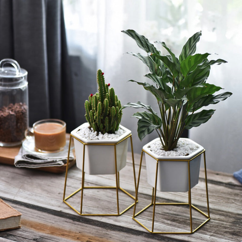 2018 Flower PotsNordic Minimalist Geometry Gold Iron Ceramic Succulent Pot Vanilla Green Plant Desktop Flower Pot for home decor